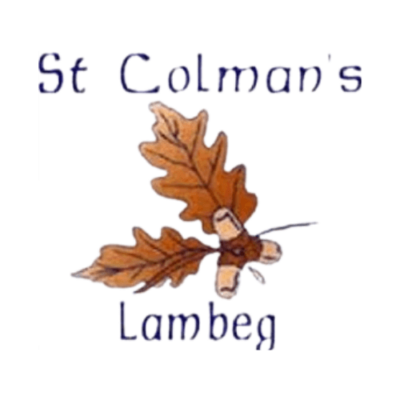 St. Colman's Primary School Lambeg logo